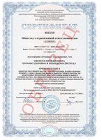 Образец ISO 45001, страница 1
