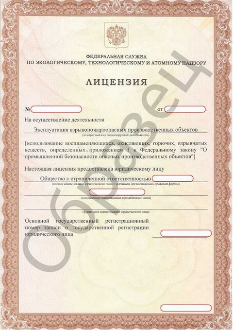 Как выглядит лицензия на ОПО