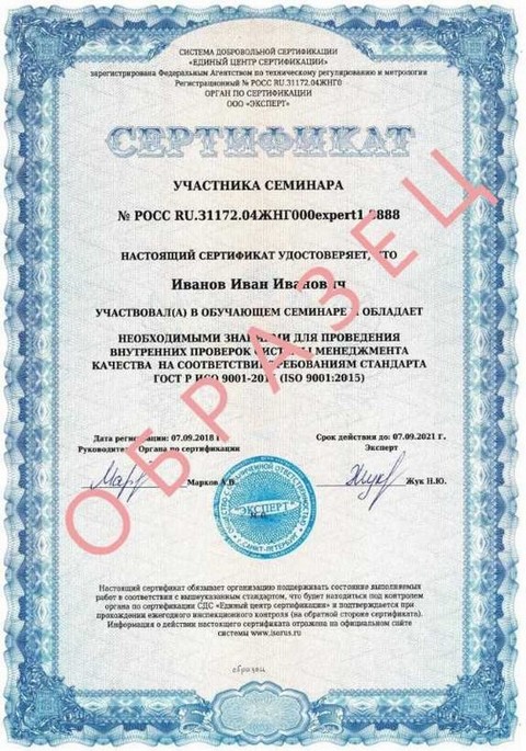 Образец документа по ISO