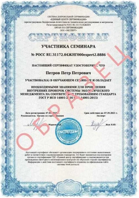 Образец документа ISO 14001